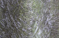 West Rudham fibreglass roof work